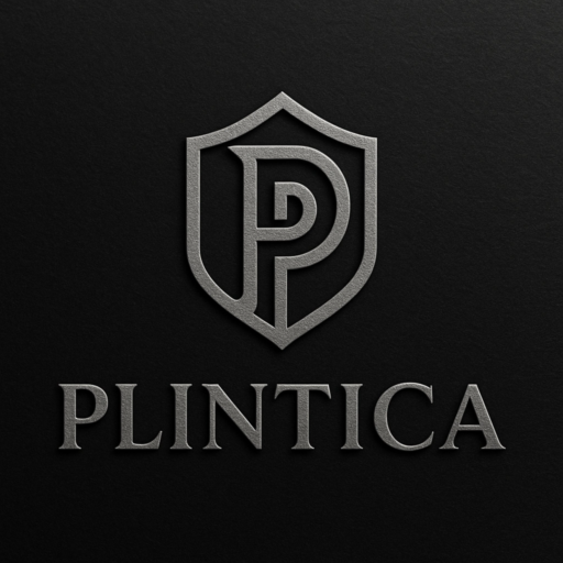 Plintica IT Logo
